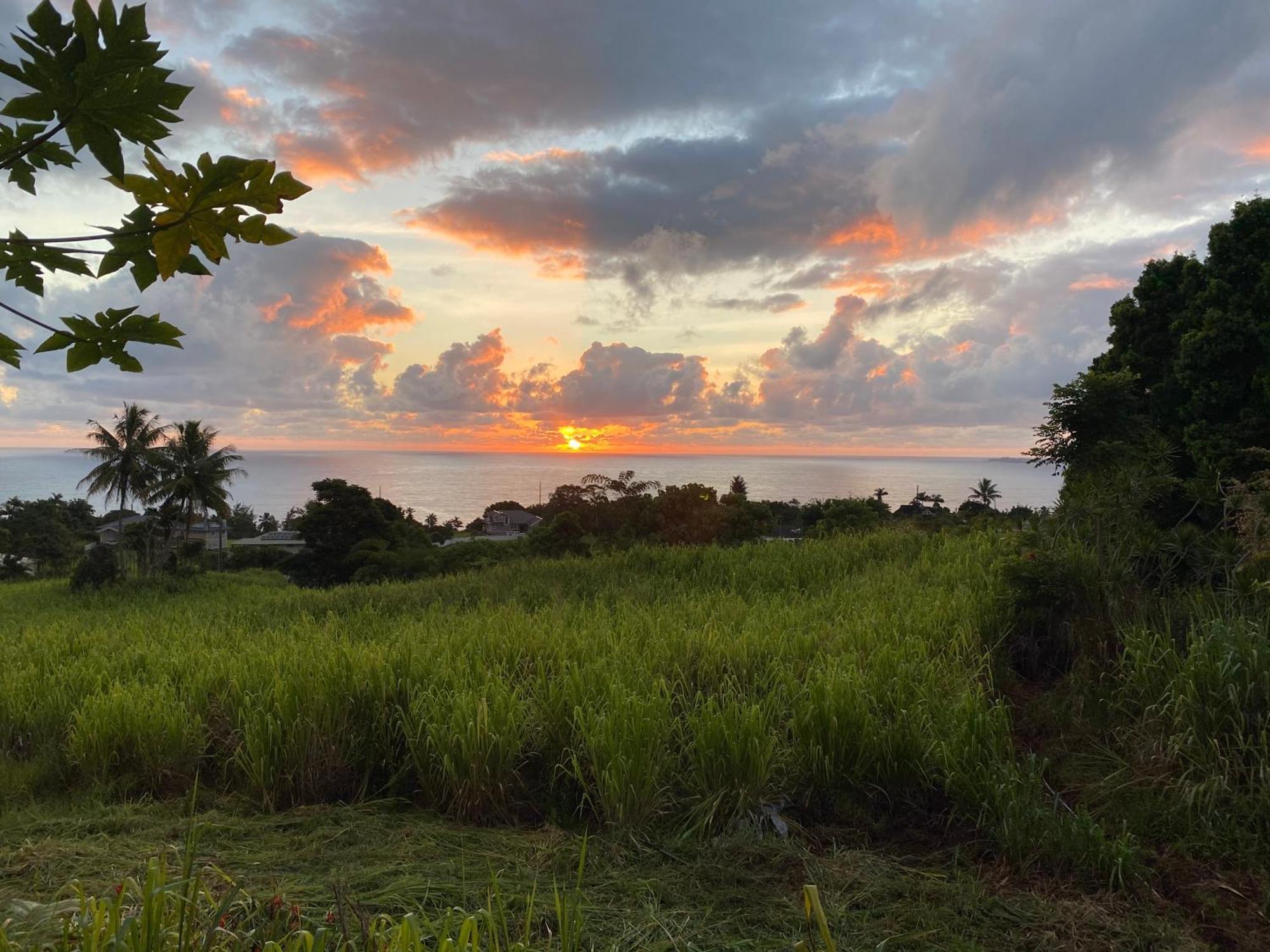 Hawaii Magic Skies Farmstay Paukaa Buitenkant foto