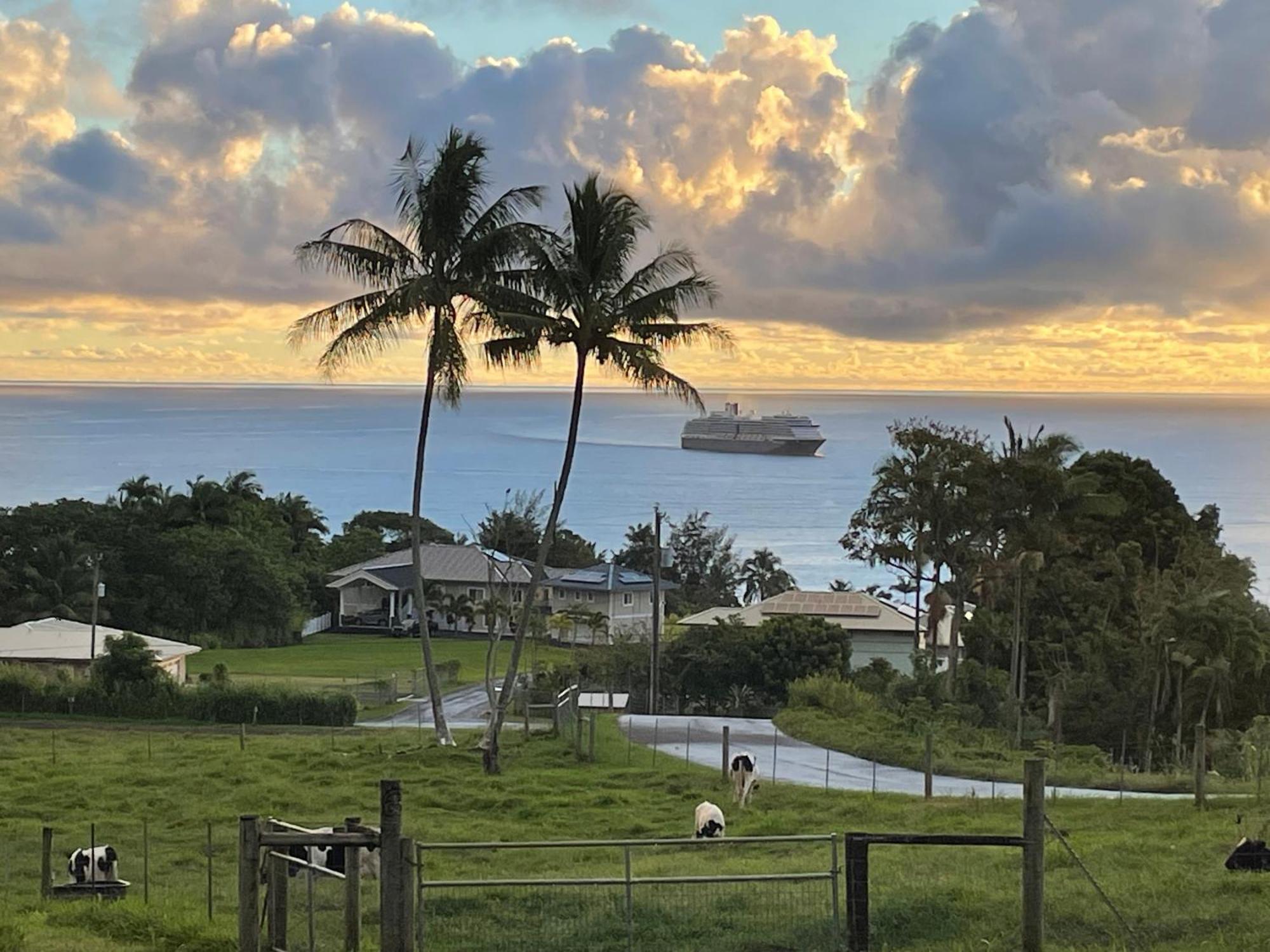 Hawaii Magic Skies Farmstay Paukaa Buitenkant foto